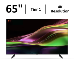Generic Tier 1 65" 4K Display
